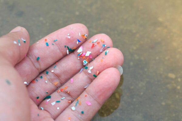 Luz solar transforma microplásticos em poluição química invisível. (Imagem: Getty Images via Canva)