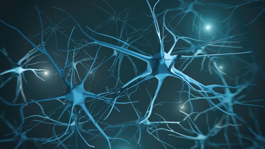 Alteração genética afeta neurônios e produção de insulina. (Foto: Getty Images via Canva)