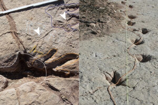 Pegadas fossilizadas revelam a rotina dos dinossauros. (Foto: Raúl Esperante via PLOS One)