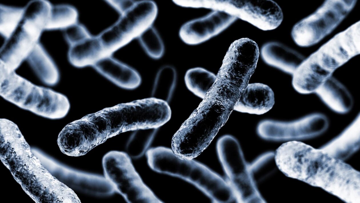 Bioeletrônica avança com filmes proteicos semicondutores (Imagem: Getty Images/ Canva Pro)