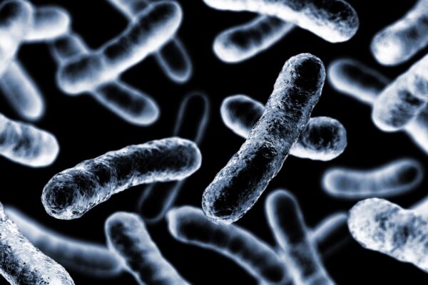 Bioeletrônica avança com filmes proteicos semicondutores (Imagem: Getty Images/ Canva Pro)