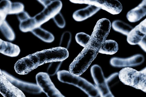 Bioeletrônica avança com filmes proteicos semicondutores (Imagem: Getty Images/ Canva Pro)