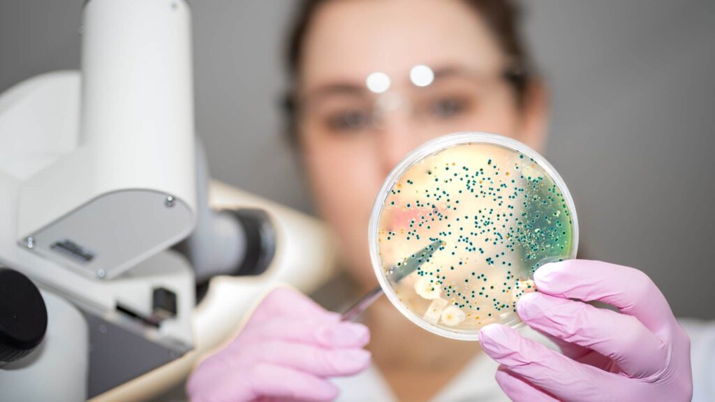Proteína bacteriana gera eletricidade apenas com luz UV (Imagem: Getty Images/ Canva Pro)