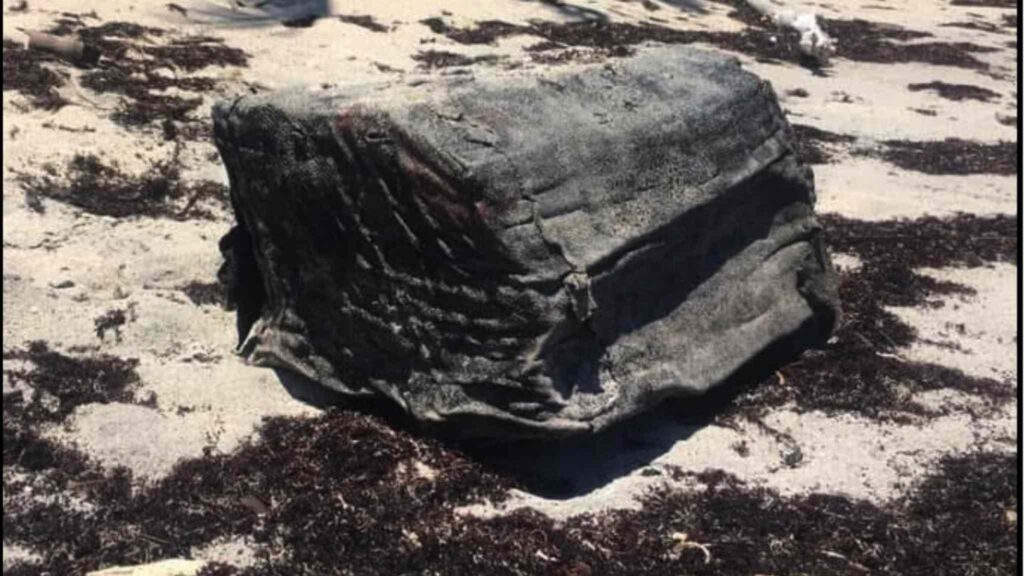 Microplásticos contaminados aumentam riscos à fauna e à saúde humana (Imagem: Adaptado de Environmental Science & Technology 2026)
