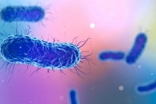 Pesquisa revela caminho promissor contra infecções resistentes. (Foto: TrueCreatives via Canva)