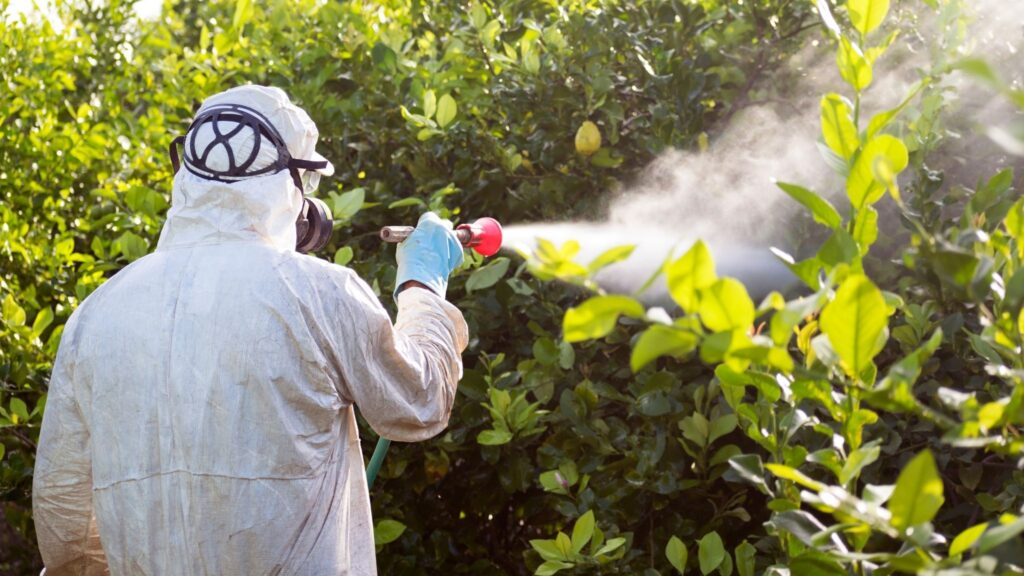 Pesticidas e plásticos afetam bactérias benéficas do corpo. (Foto: Getty Images via Canva)
