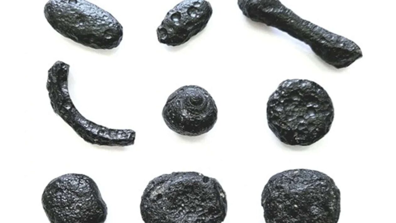 Geraisitos: vidros cósmicos revelam impacto no Brasil há 6 milhões anos (Imagem: Álvaro Penteado Crósta/IG-Unicamp)