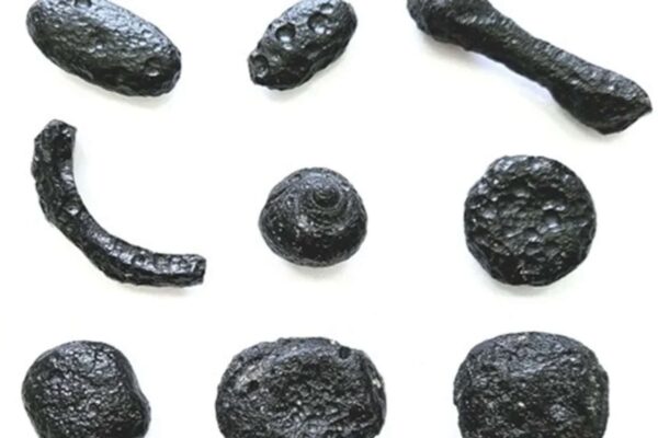 Geraisitos: vidros cósmicos revelam impacto no Brasil há 6 milhões anos (Imagem: Álvaro Penteado Crósta/IG-Unicamp)