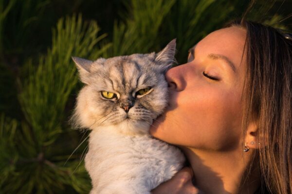 Estudo mostra que gatos criam laços emocionais com humanos. (Foto: Alamy via Canva)