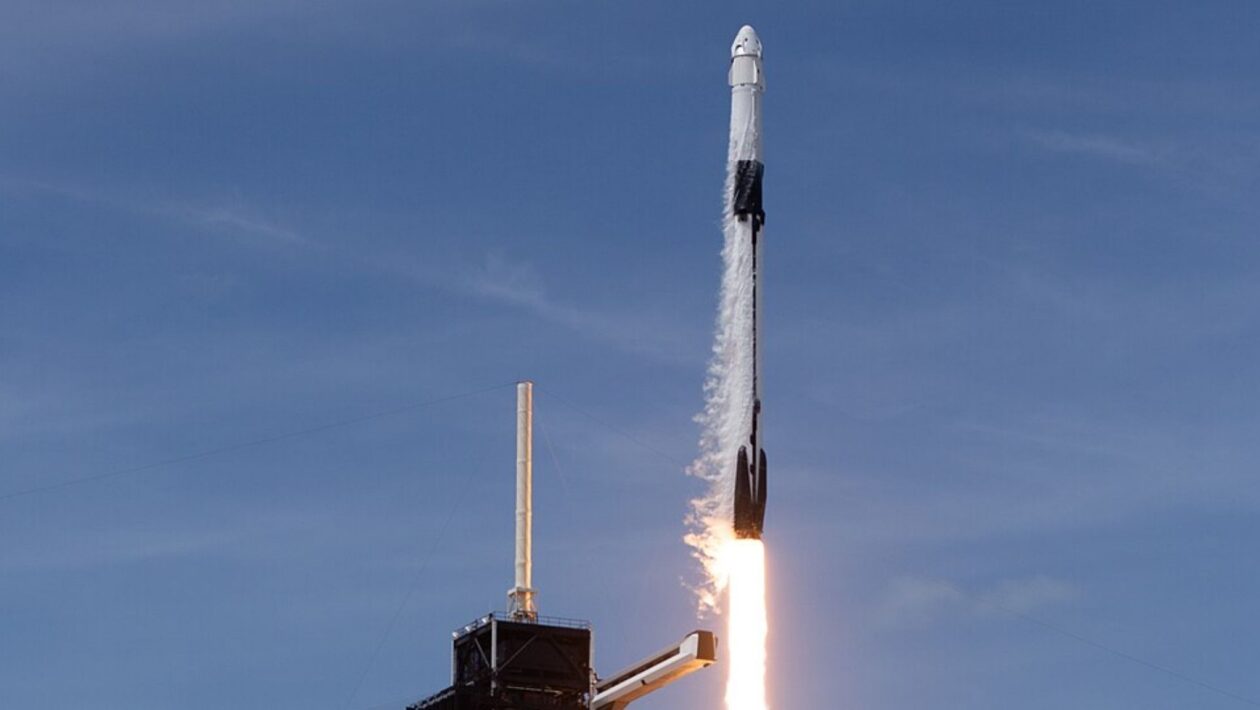 Falha em missão Starlink paralisa lançamentos do Falcon 9 (Imagem: NASA/Joel Kowsky)