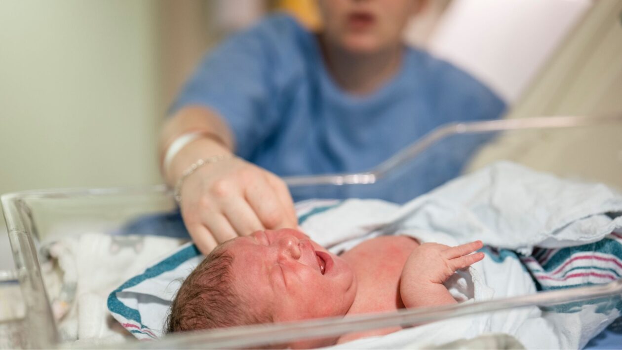 Algoritmos analisam dados gestacionais em tempo recorde. (Foto: Getty Images via Canva)