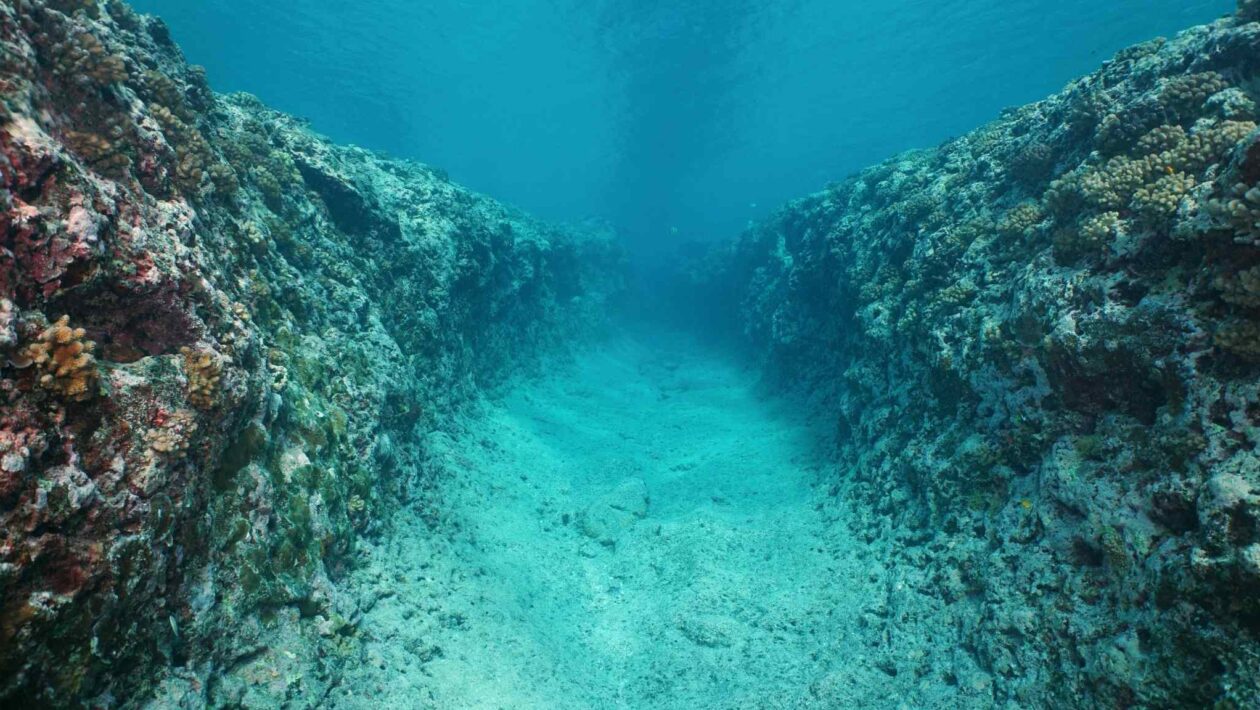 Água ancestral no subsolo pode sustentar vida extrema (Imagem: Getty Images via Canva)