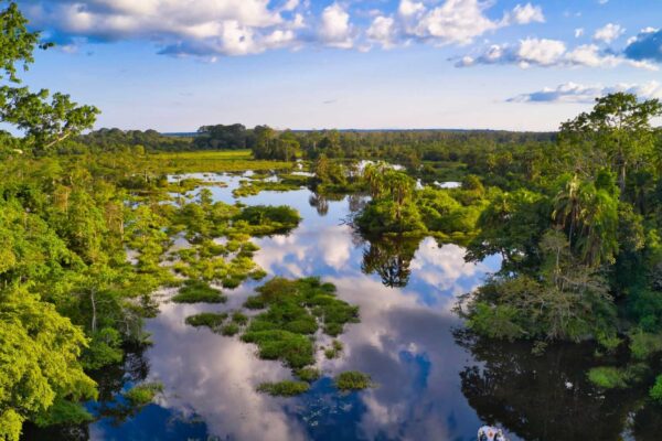 Turfeiras africanas emitem CO₂ antigo na atmosfera (Imagem: Getty Images via Canva)