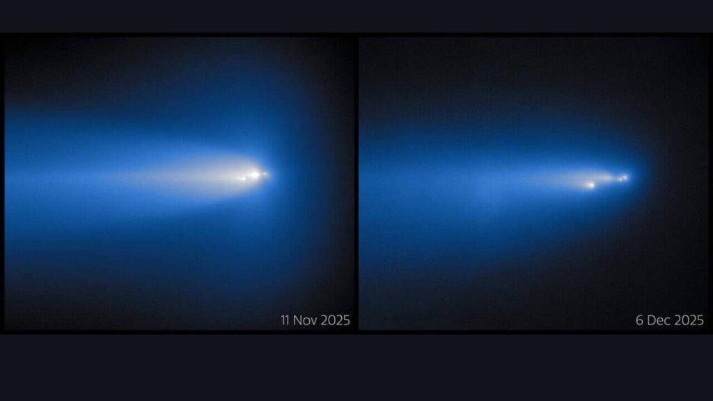 Cor rara do cometa desaparece durante desintegração no espaço (Imagem: J. Miller e M. Rodriguez Observatório Internacional Gemini/NSF NOIRLab), TA Rector (Universidade do Alasca em Anchorage/NSF NOIRLab), M. Zamani (NSF NOIRLab))
