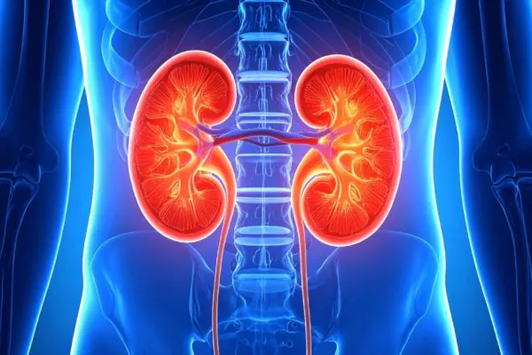 Doença renal pode começar antes dos exames alertarem. (Foto: TrueCreatives via Canva)