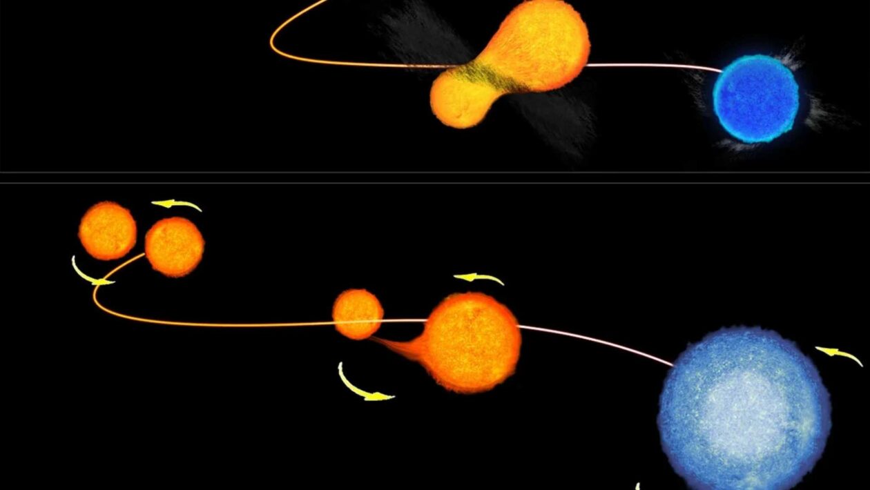 Estrelas vampiras desafiam a idade ao roubar energia no cosmos (Imagem: NASA/ESA)
