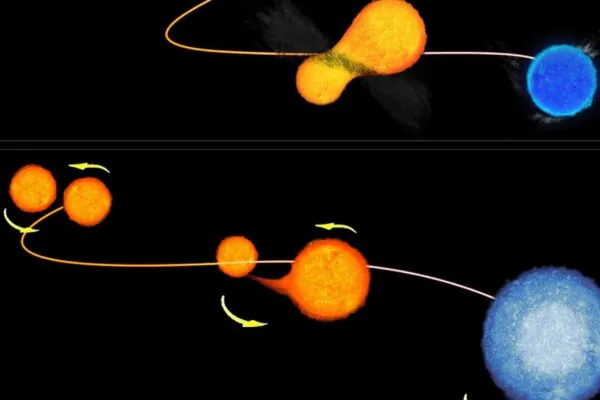 Estrelas vampiras desafiam a idade ao roubar energia no cosmos (Imagem: NASA/ESA)
