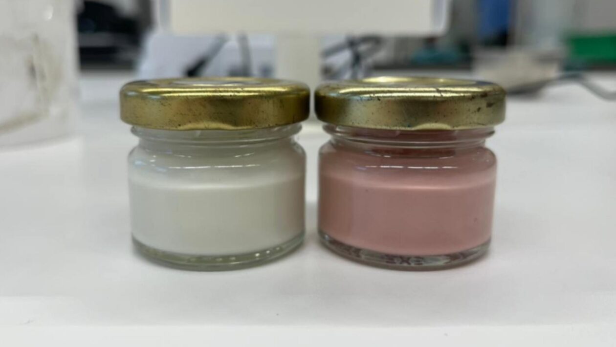 Fungo da Amazônia gera corante natural seguro para cosméticos (Imagem: Juliana Barone Teixeira/FCFAr-Unesp)