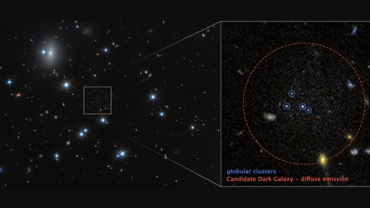 A galáxia CDG-2, pouco luminosa, aparece à direita e é rica em matéria escura (Imagem: NASA, ESA, Dayi Li (UToronto); Processamento de imagem: Joseph DePasquale (STScI))