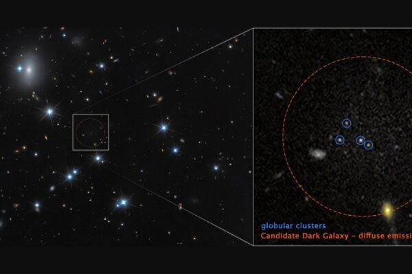 A galáxia CDG-2, pouco luminosa, aparece à direita e é rica em matéria escura (Imagem: NASA, ESA, Dayi Li (UToronto); Processamento de imagem: Joseph DePasquale (STScI))