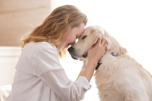 Cães grandes liberam mais micróbios no ar (Imagem: Getty Images via Canva)