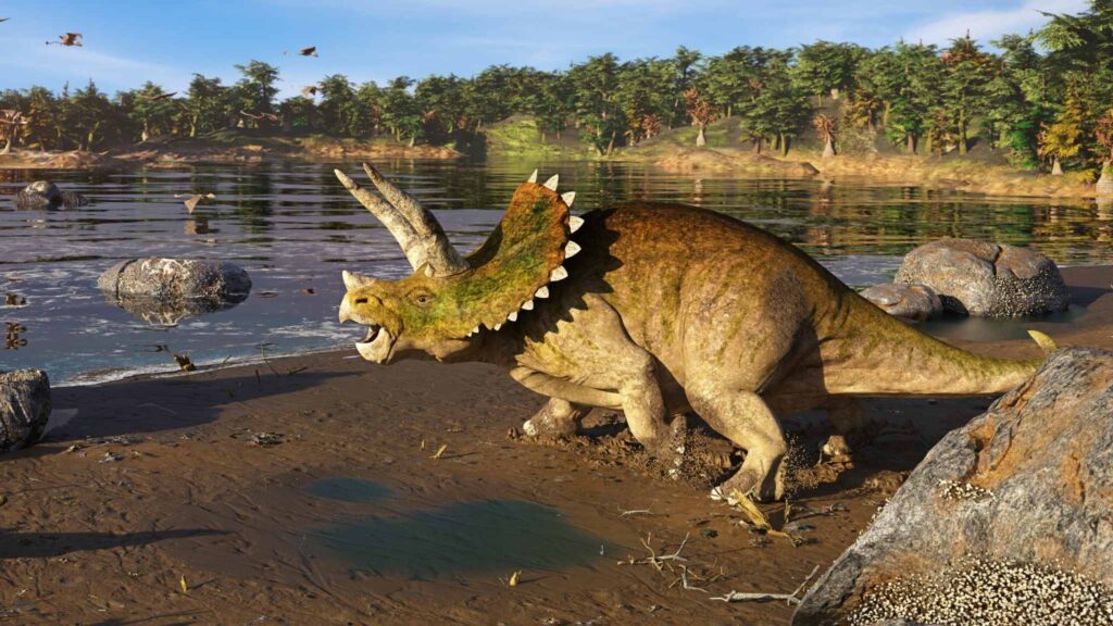 Focinho gigante tinha função térmica avançada (Imagem: Getty Images via Canva)