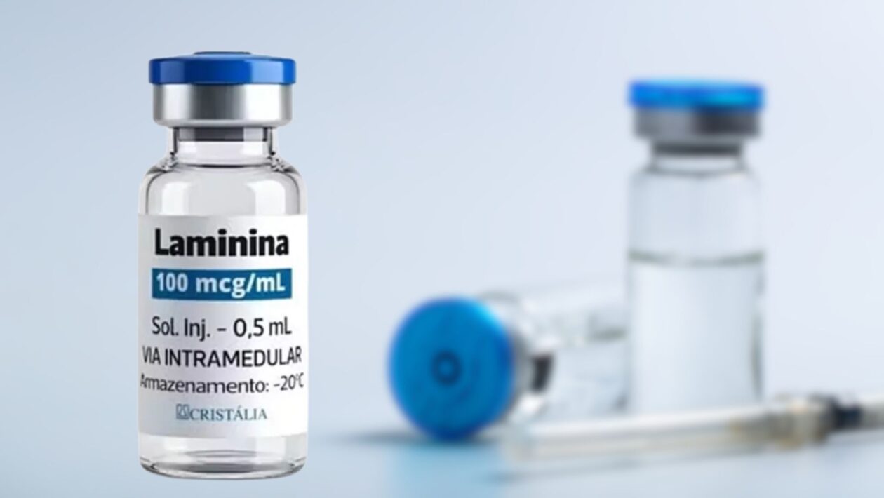 Polilaminina cria suporte biológico para regeneração neural. (Foto: Divulgação / Snowdrop Images via Cristalia e Canva)