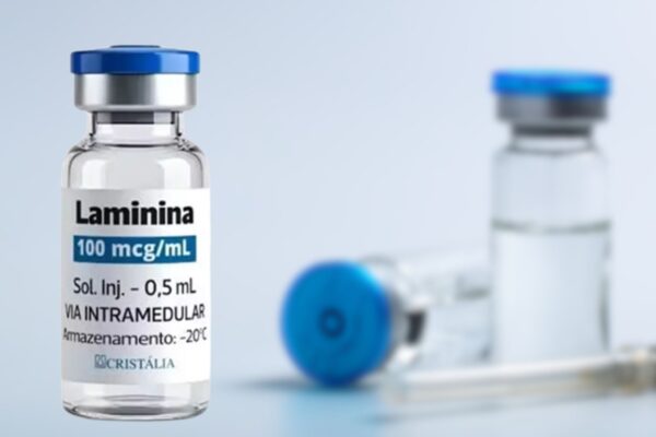 Polilaminina cria suporte biológico para regeneração neural. (Foto: Divulgação / Snowdrop Images via Cristalia e Canva)