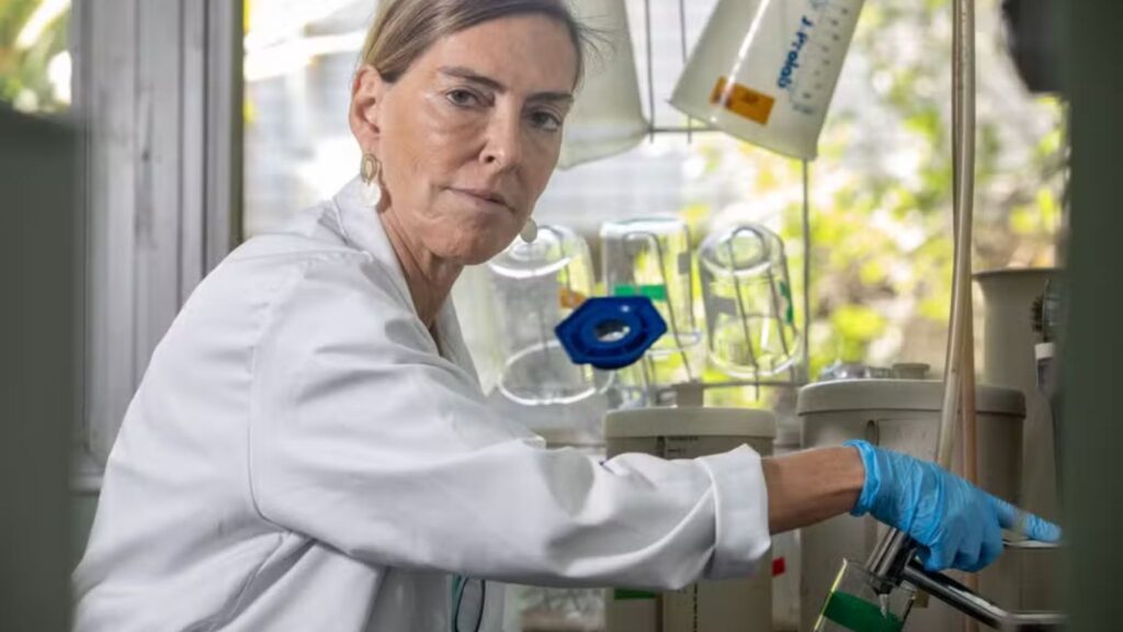 Tatiana Lobo Coelho de Sampaio lidera pesquisa sobre polilaminina. (Foto: Reprodução / Instagram)