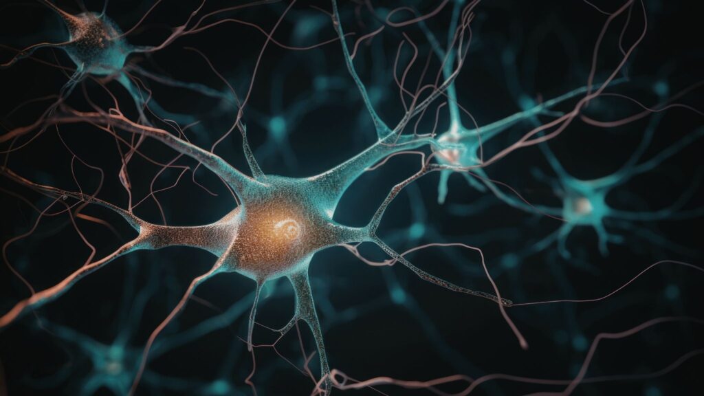 Polilaminina atua no ambiente que envolve os neurônios. (Foto: Sergio Rusu's Images via Canva)