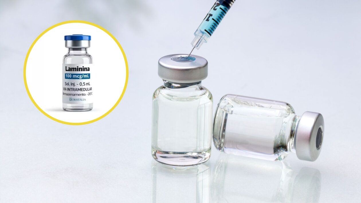 Polilaminina avança em fase inicial de testes. (Foto: Divulgação e Getty Images via Canva)