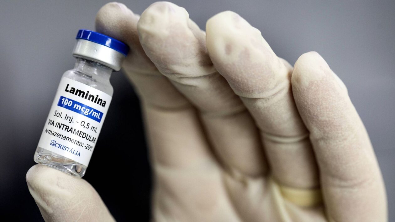 Fase 1 analisa riscos da polilaminina. (Foto: Divulgação)