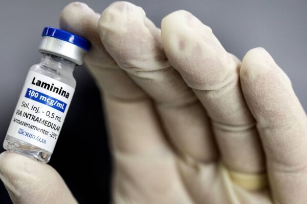 Fase 1 analisa riscos da polilaminina. (Foto: Divulgação)