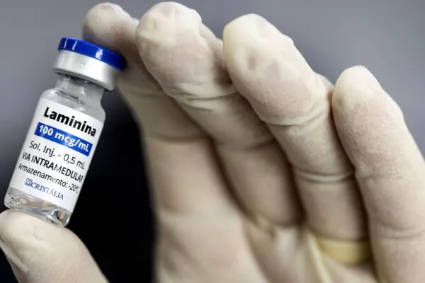 Fase 1 analisa riscos da polilaminina. (Foto: Divulgação)