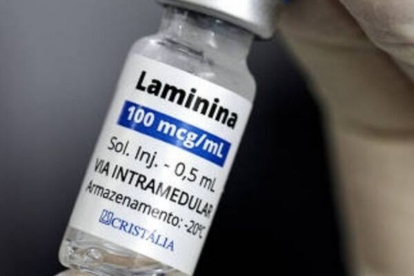 quem pode ter acesso à Polilaminina