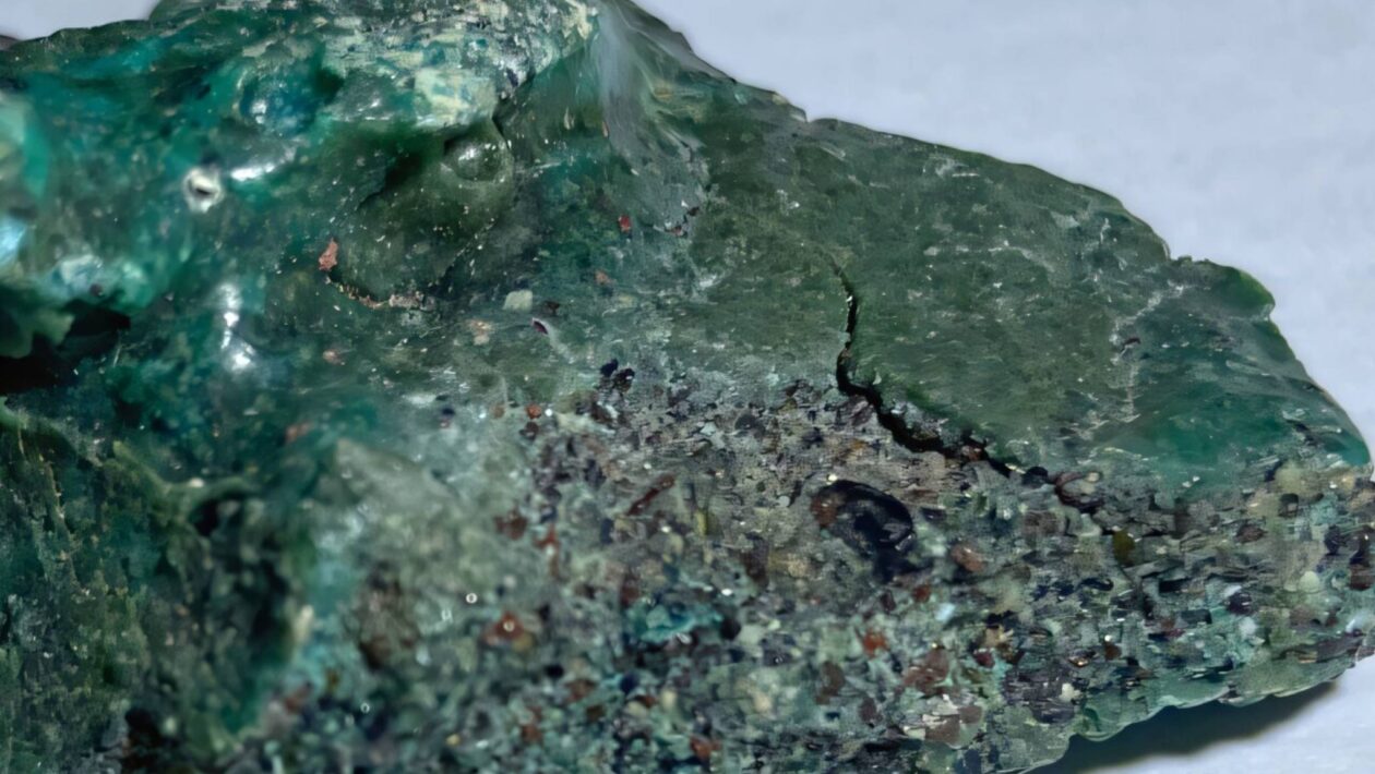 Plástico invade ninhos de tartarugas em ilha remota (Imagem: Fernanda Avelar Santos/ Divulgação)