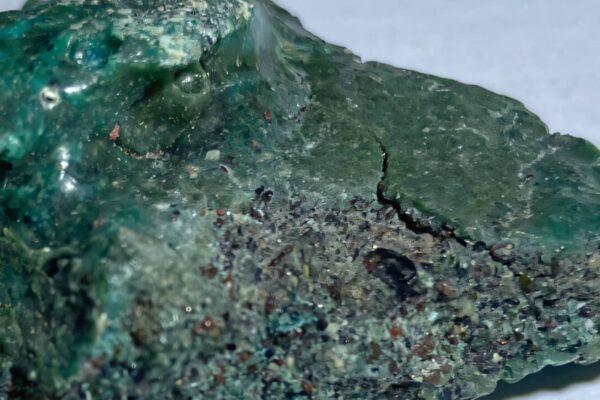 Plástico invade ninhos de tartarugas em ilha remota (Imagem: Fernanda Avelar Santos/ Divulgação)