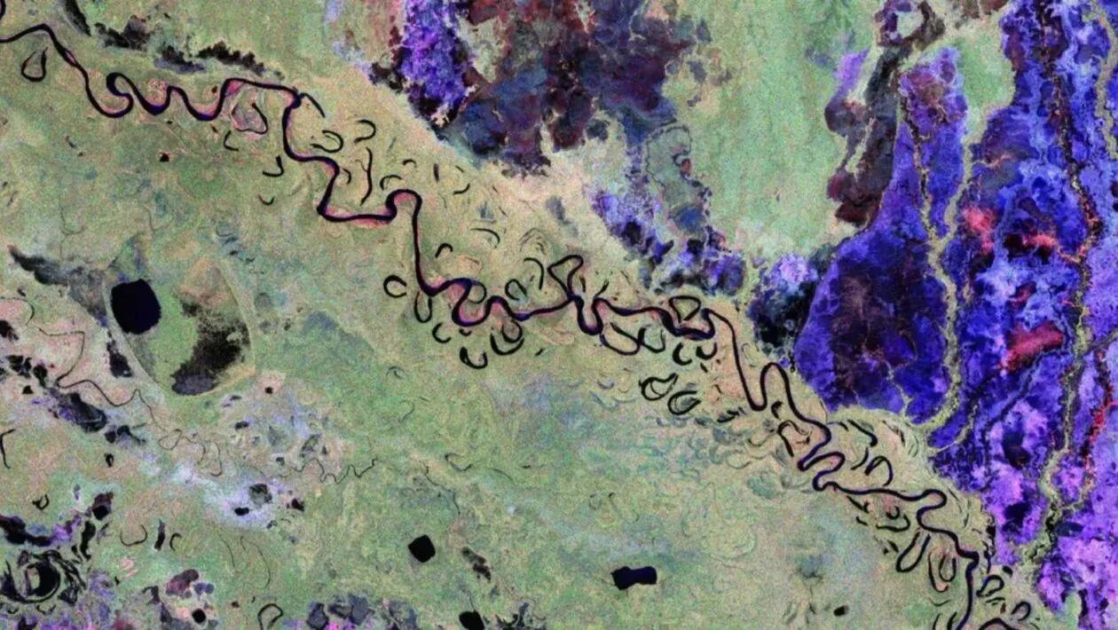 Satélite revela onde a Terra armazena seu carbono invisível (Imagem: ESA/Satélite Biomass)