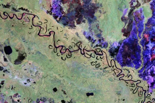 Satélite revela onde a Terra armazena seu carbono invisível (Imagem: ESA/Satélite Biomass)
