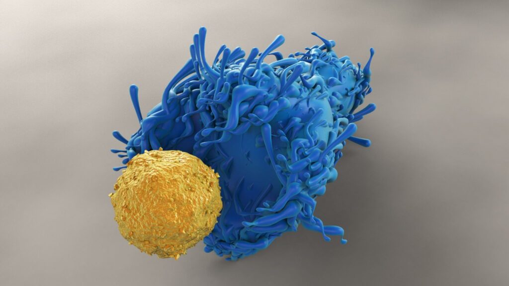 Células T CD4 sustentaram imunidade antitumoral. (Foto: Getty Images via Canva)