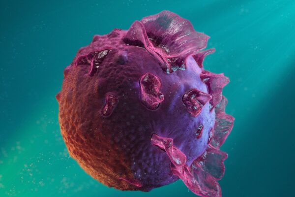 Estudo aponta ação direta do EBV no cérebro. (Foto: Getty Images via Canva)