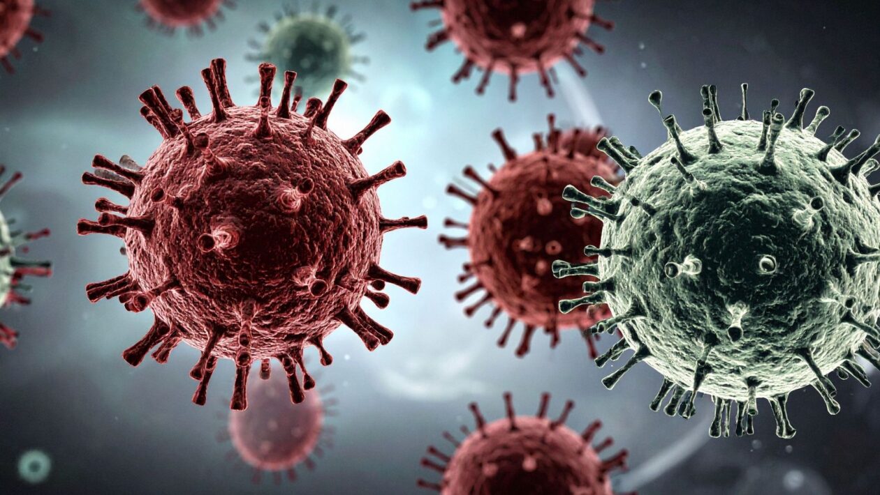 Vírus de gado e cães podem se espalhar para humanos. (Foto: TrueCreatives via Canva)