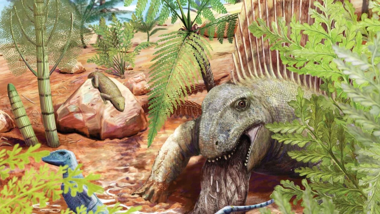 Ilustração mostra Dimetrodon regurgitando, com Eudibamus, Thuringothyris e flora permiana. (Imagem: Rebillard, A., Jannel, A., Marchetti, L. et al./ Licença CC BY-SA 4.0)