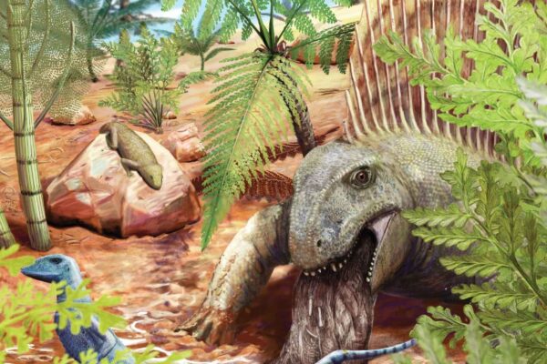 Ilustração mostra Dimetrodon regurgitando, com Eudibamus, Thuringothyris e flora permiana. (Imagem: Rebillard, A., Jannel, A., Marchetti, L. et al./ Licença CC BY-SA 4.0)