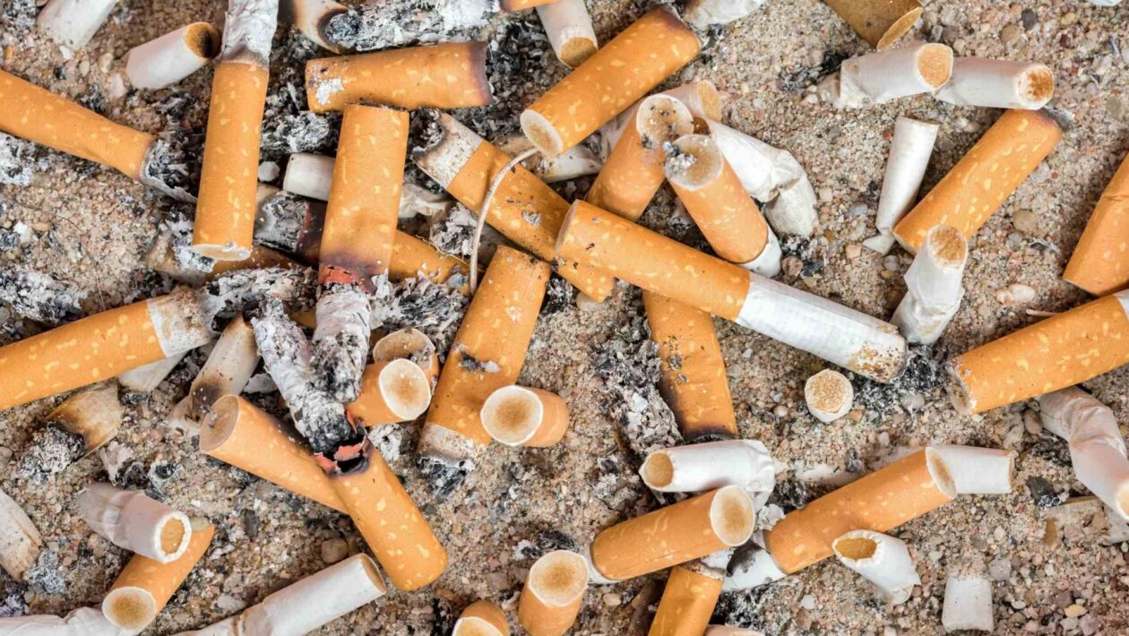 Bitucas de cigarro são o lixo mais comum do planeta (Imagem: Getty Images via Canva)