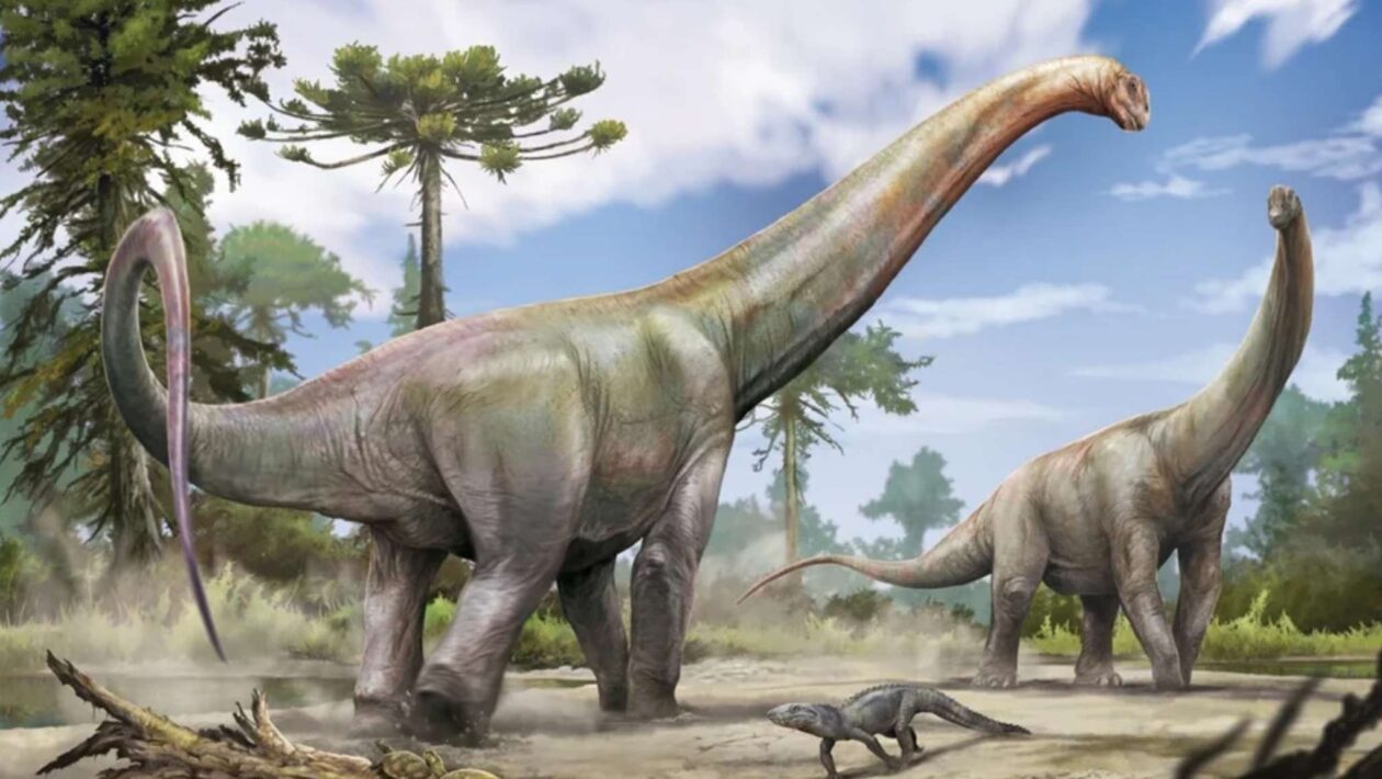 Dinossauro gigante no Brasil revela conexões entre continentes (Imagem: Arte Jorge Blanco/Universidade Federal de Santa Maria)