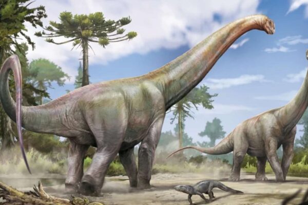 Dinossauro gigante no Brasil revela conexões entre continentes (Imagem: Arte Jorge Blanco/Universidade Federal de Santa Maria)