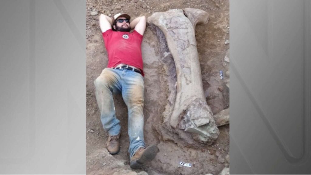 Pesquisador Leonardo Kerber deita ao lado do fóssil para ilustrar o tamanho do dinossauro (Imagem: UFSM/Reprodução)
