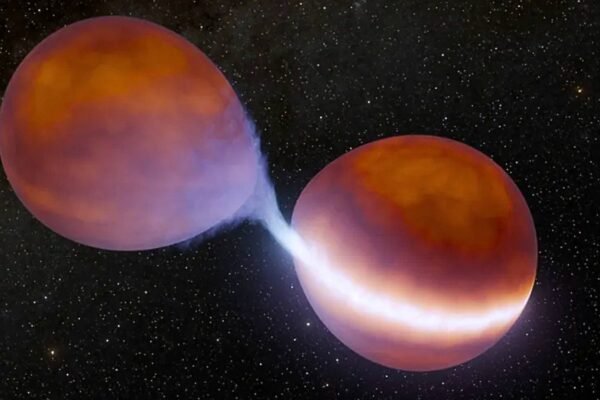 Duas anãs marrons interagem e podem iniciar fusão nuclear ao se unirem. (Imagem: Caltech/R. Hurt (IPAC))