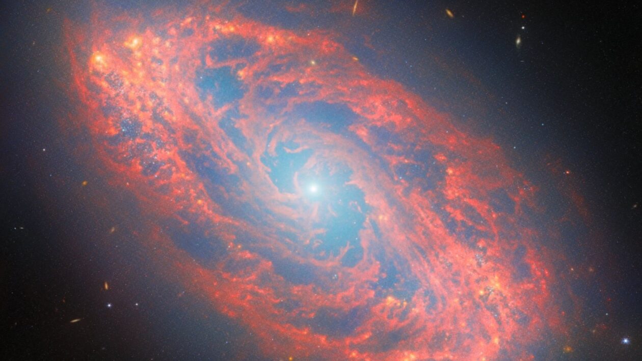 James Webb revela galáxia espiral NGC 5134 a 65 milhões de anos-luz (Imagem: ESA/Webb, NASA e CSA, A. Leroy)